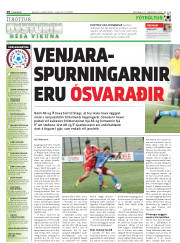 Síða 28
