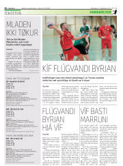 Síða 30