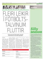 Síða 31