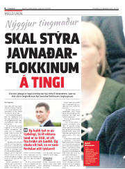 Síða 8