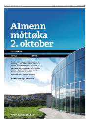 Síða 11