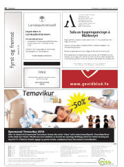 Síða 20