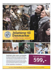 Síða 21