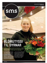 Síða 33