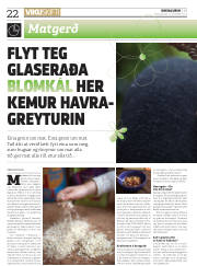 Síða 22