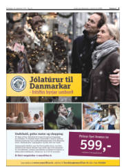 Síða 3