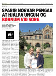 Síða 8