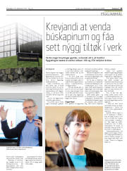 Síða 13