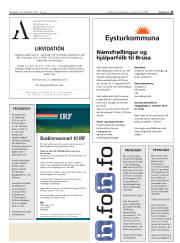 Síða 19