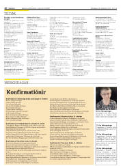 Síða 20