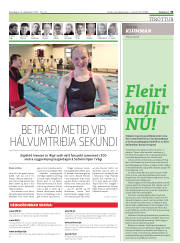 Síða 31