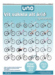 Síða 7