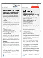 Síða 8