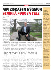 Síða 13