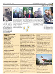 Síða 29