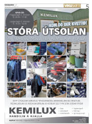 Síða 5