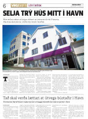 Síða 6