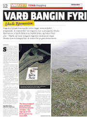 Síða 12