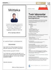 Síða 15