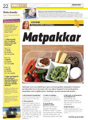 Síða 22