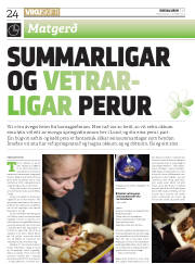 Síða 24