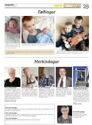 Síða 29
