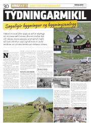 Síða 30