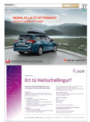 Síða 37