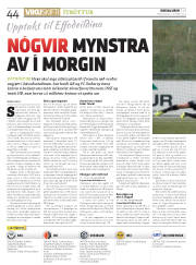 Síða 44