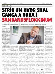Síða 4
