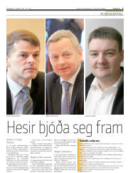 Síða 5