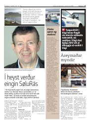 Síða 13