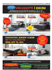 Síða 5