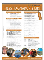 Síða 7
