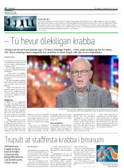 Síða 10