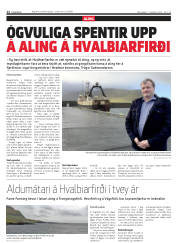 Síða 12