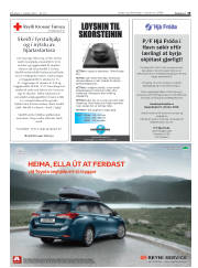 Síða 19