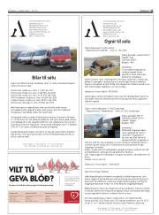 Síða 21