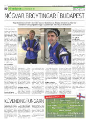 Síða 29