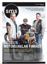 Síða 33