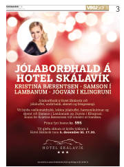 Síða 3