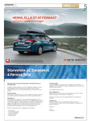 Síða 5