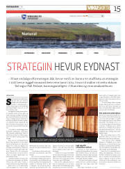 Síða 15