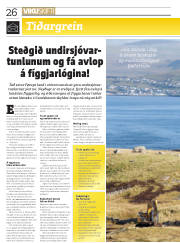 Síða 26