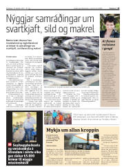 Síða 15