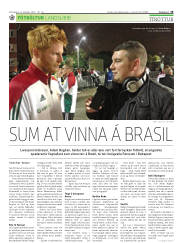 Síða 19