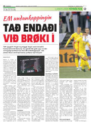 Síða 20