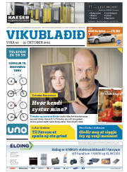 Síða 33
