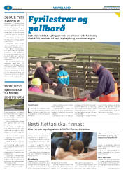 Síða 40