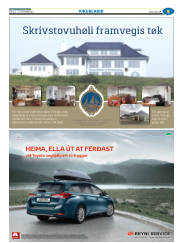 Síða 41